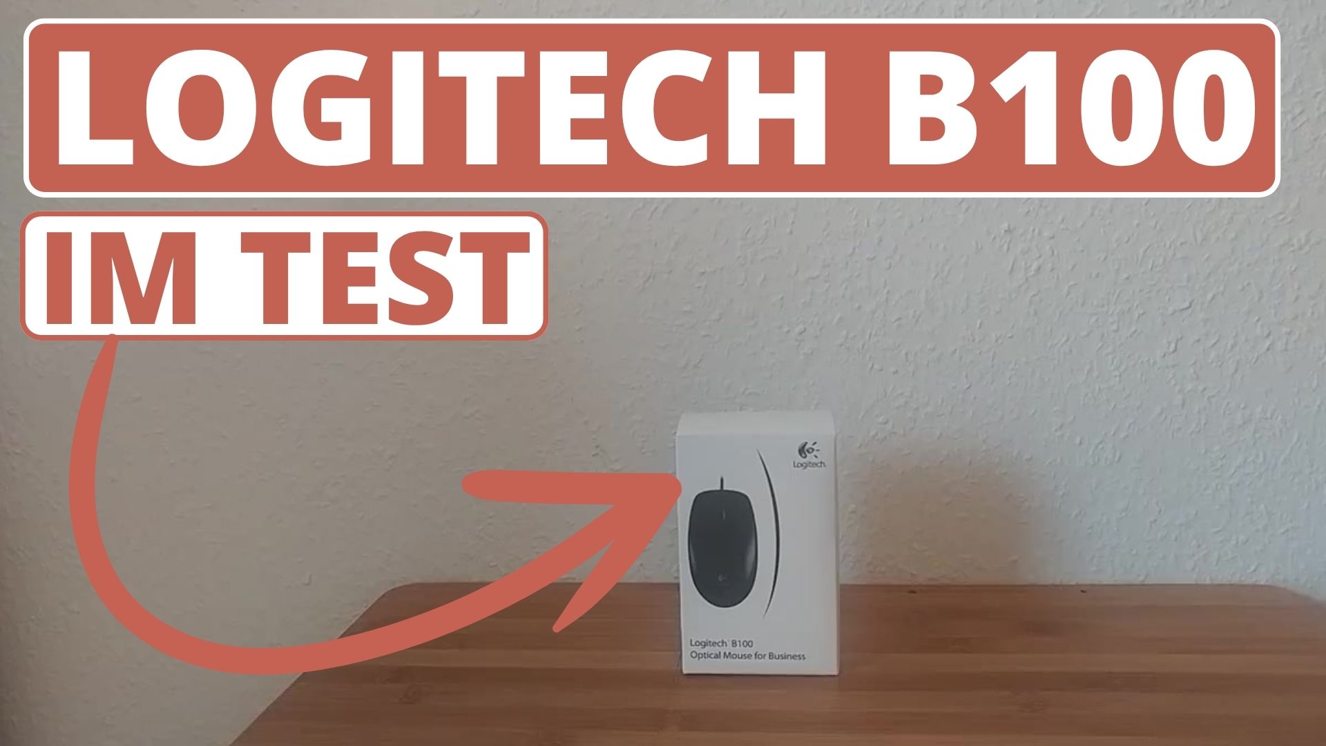 Meine Meinung zur Logitech B100