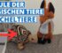 Schule der Magischen Tiere Stofftiere – Gut oder Schlecht?
